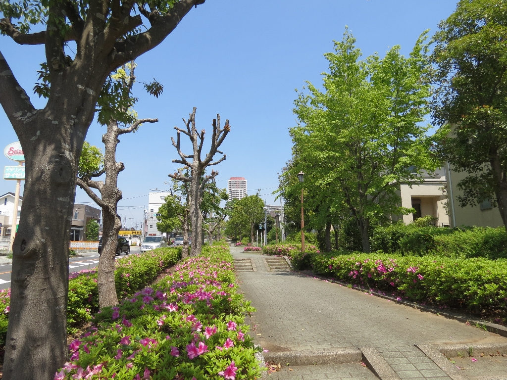 minami ukari